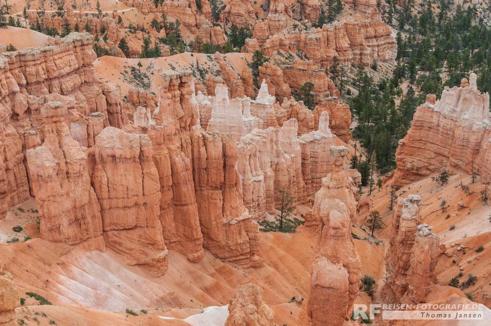 Bryce Canyon Details