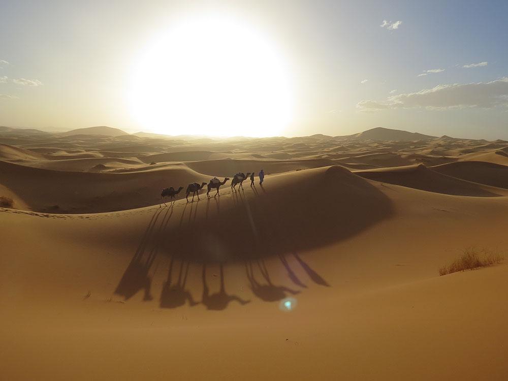 Sahara Wüste in Marokko