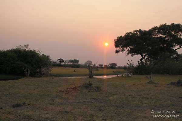Der Savuti-Channel im Chobe Nationalpark