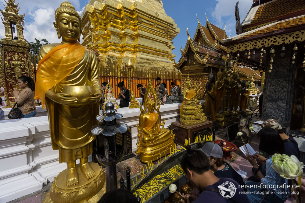 Chiang Mai – Nord-Thailand – Kultur, viele Menschen und Tiere
