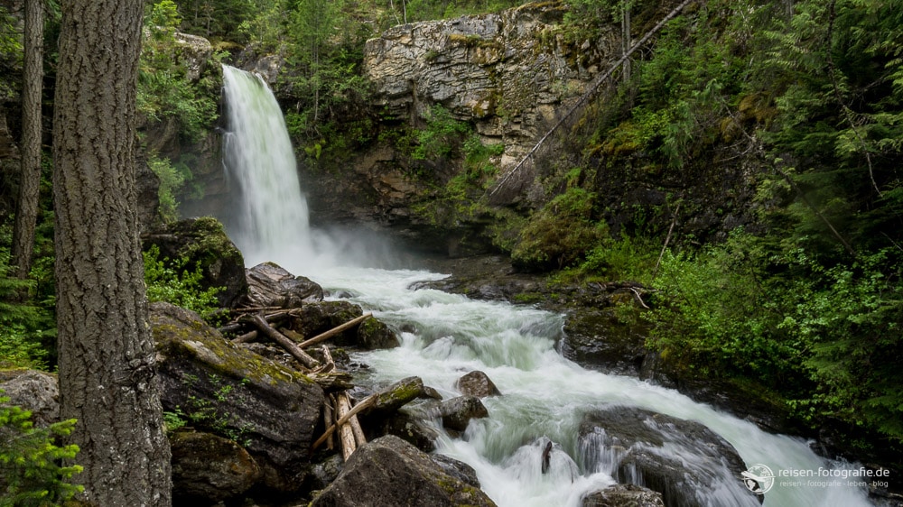 Mount Revelstoke National Park – unser letzter Park in Kanada