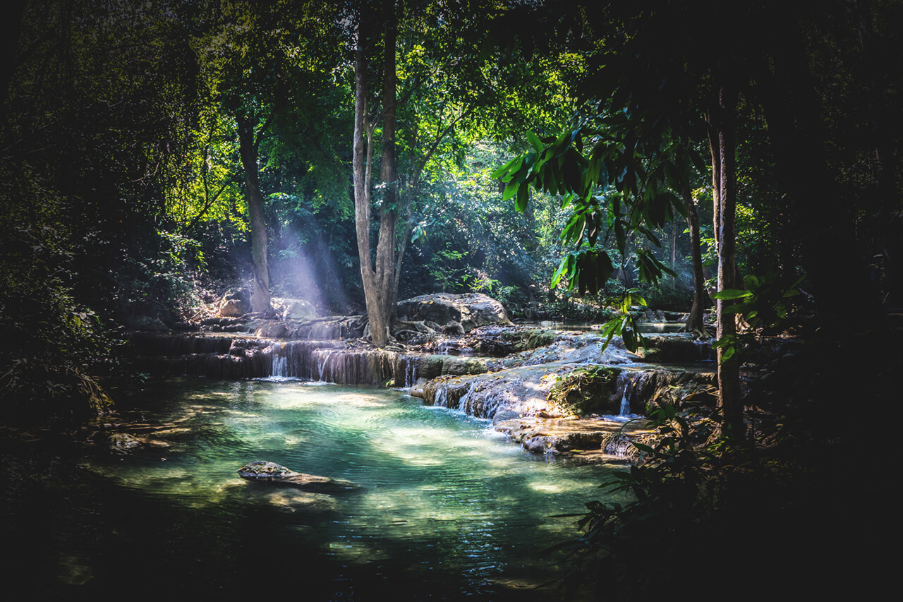 Fotobearbeitungs Challenge #4 – Regenwald – Zusammenfassung