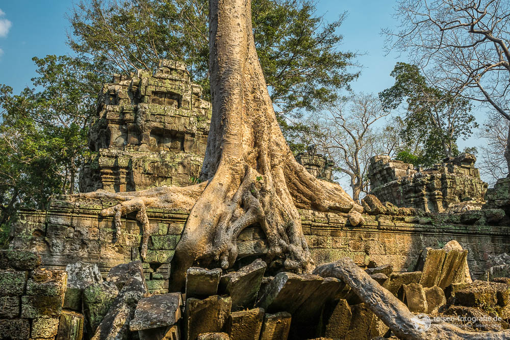 Archäologischer Angkor Park: Angkor Thom, Ta Prohm, Prasat Kravan