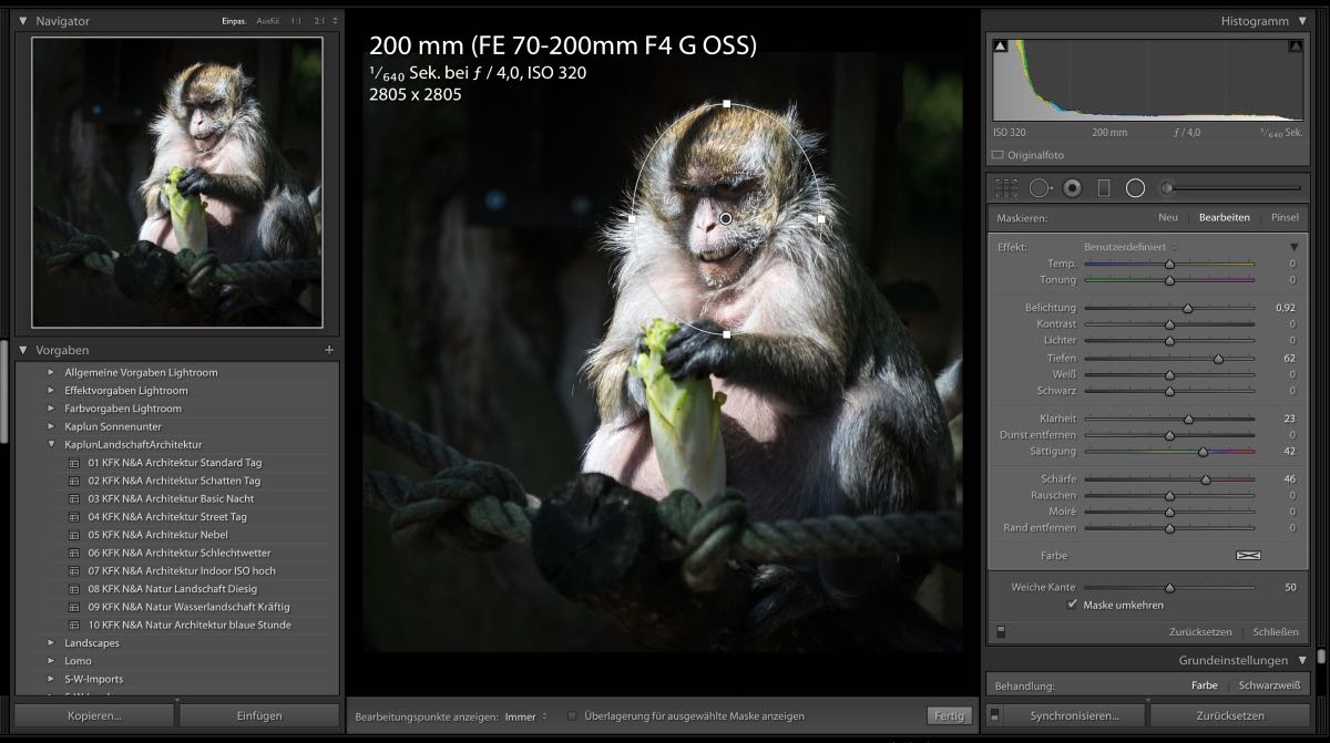 Fotobearbeitung in der Praxis: Teil 1 – Zoofotos bearbeiten