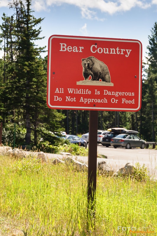 Fotonomaden Wildtierfotografie Kanada Bärenschild