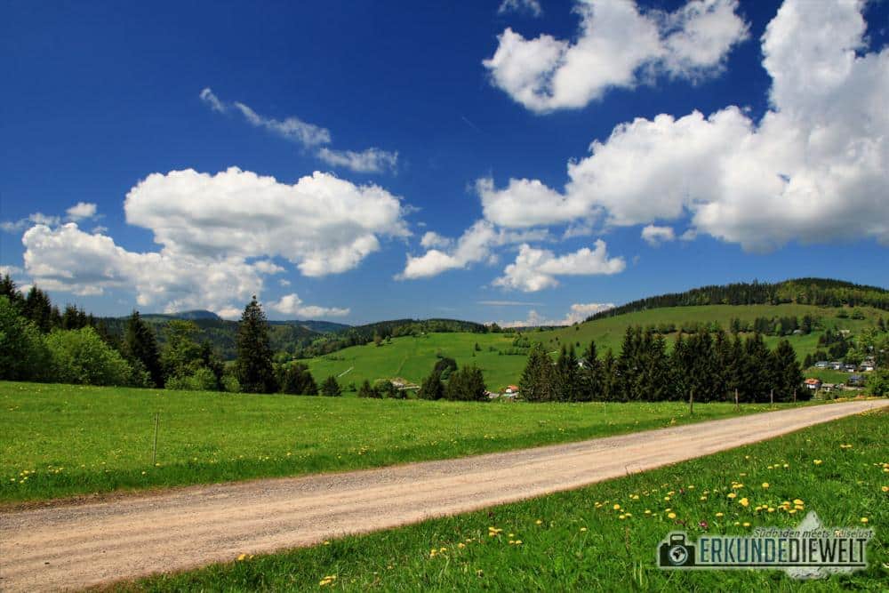 hiking through beautiful nature and landscape in the Black Forest in Germany