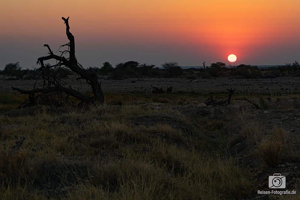 Sonnenuntergang am Namutoni Wasserloch