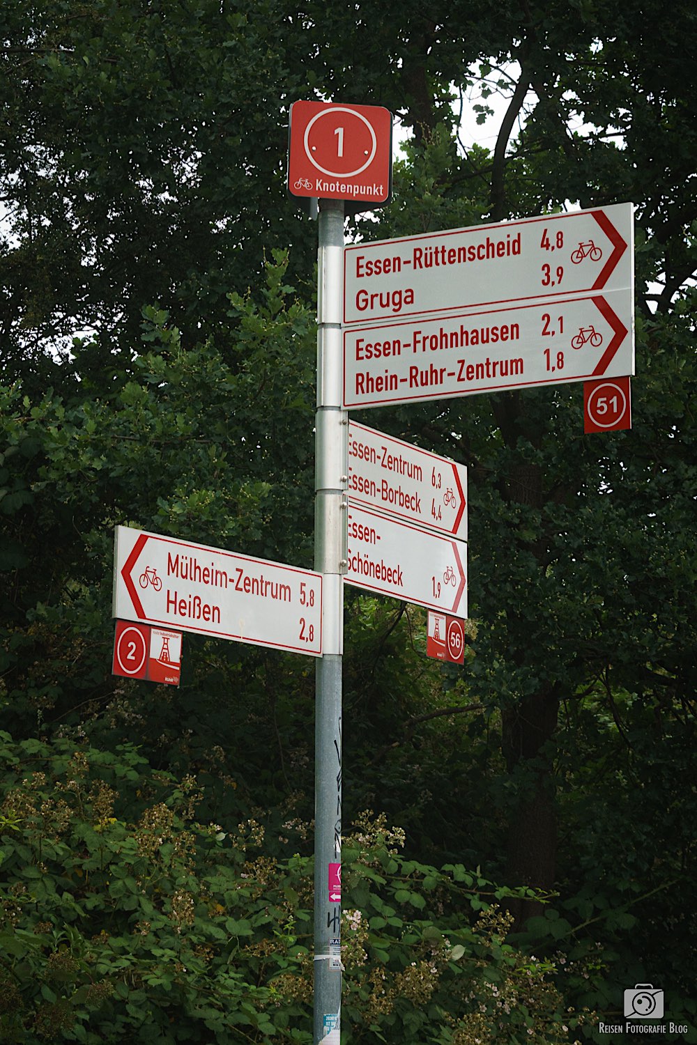 Abzweig Radschnellweg / Grugaweg