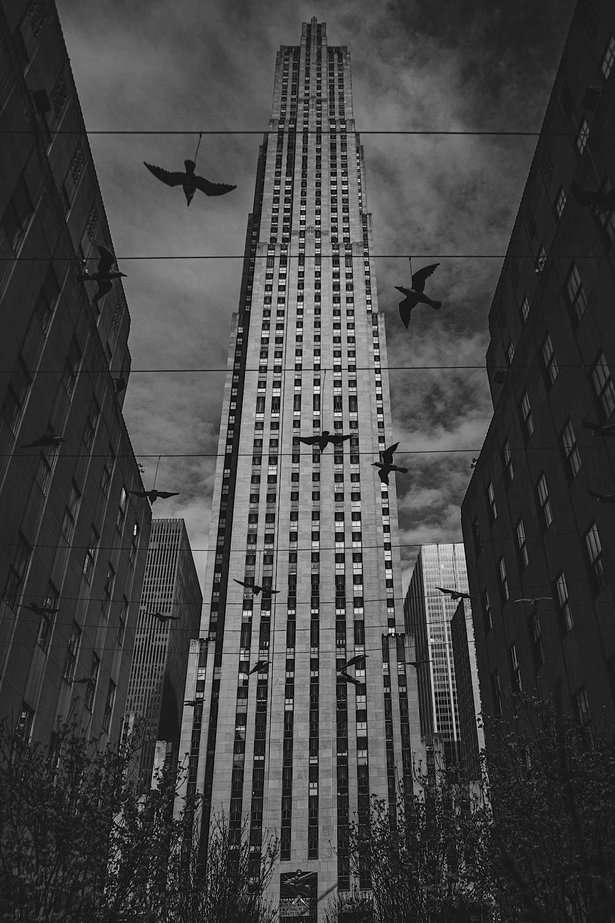 New York in schwarz-weiß