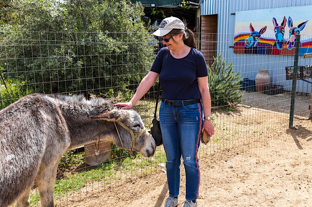 Agia Marina Donkey Rescue Sanctuary